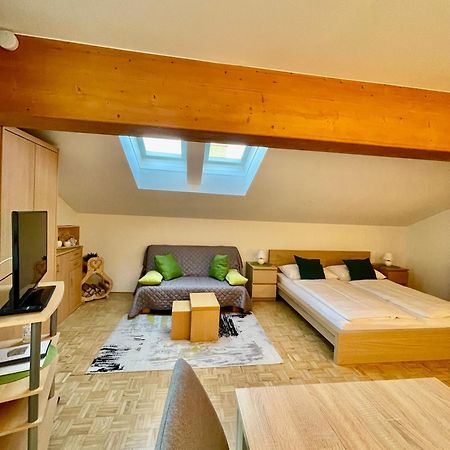 Apartment Ladinger Radstadt Buitenkant foto